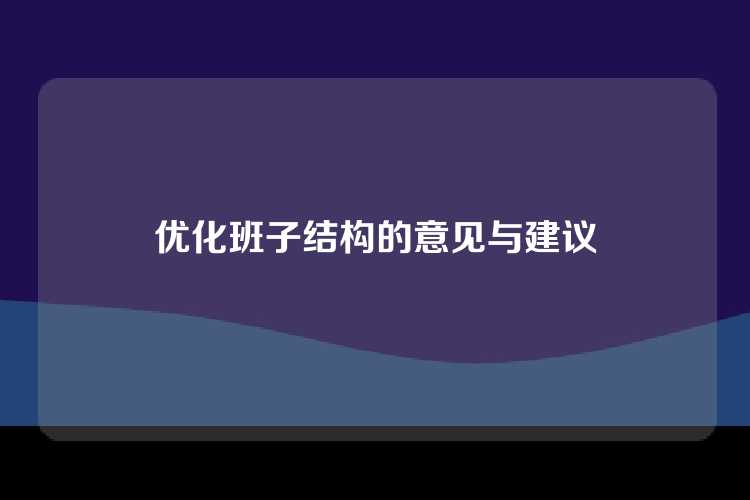 优化班子结构的意见与建议