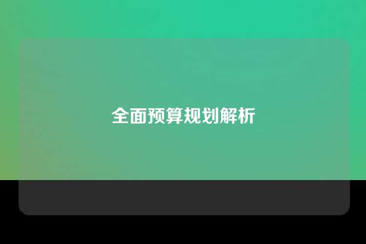 全面预算规划解析