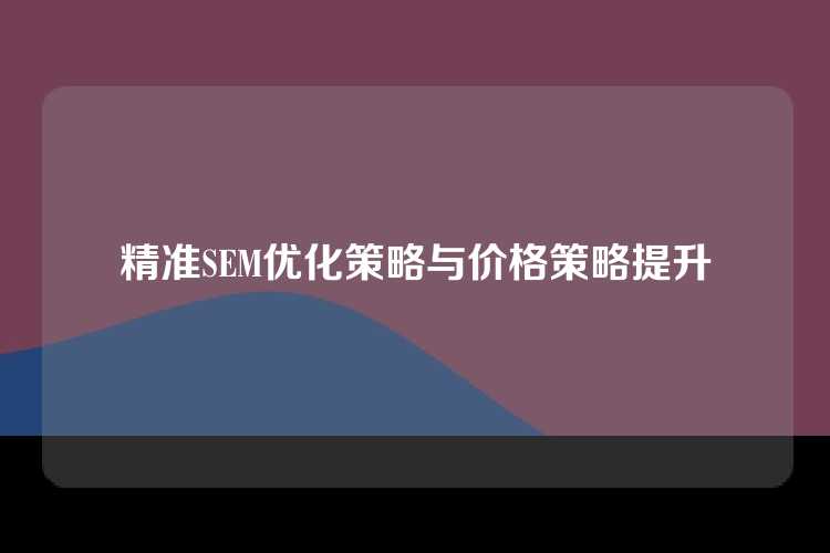 精准SEM优化策略与价格策略提升