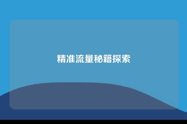 精准流量秘籍探索