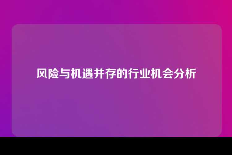 风险与机遇并存的行业机会分析