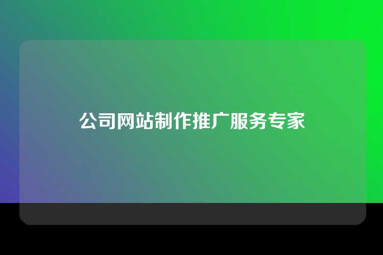 公司网站制作推广服务专家