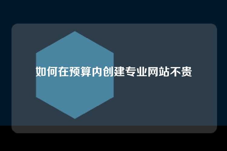 如何在预算内创建专业网站不贵
