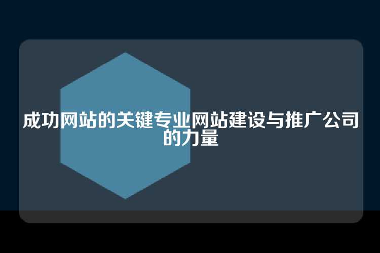 成功网站的关键专业网站建设与推广公司的力量
