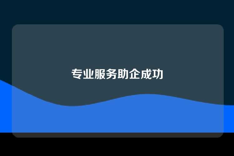 专业服务助企成功