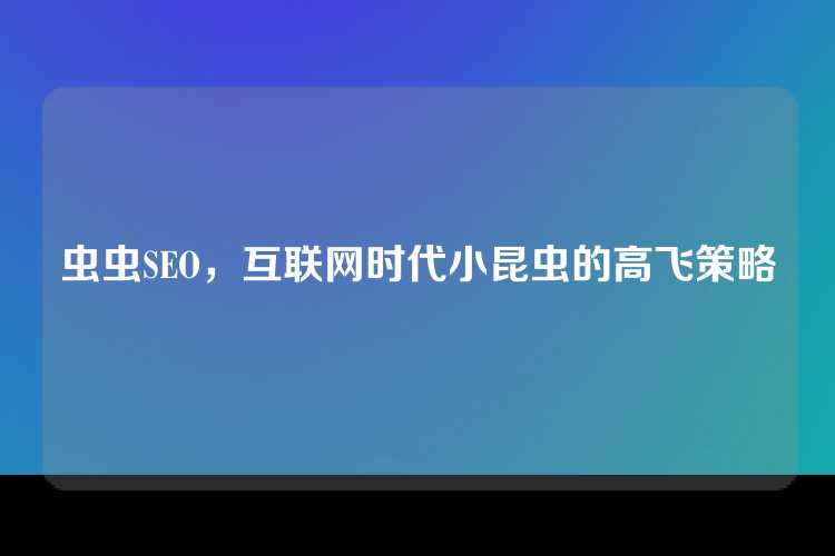 虫虫SEO，互联网时代小昆虫的高飞策略
