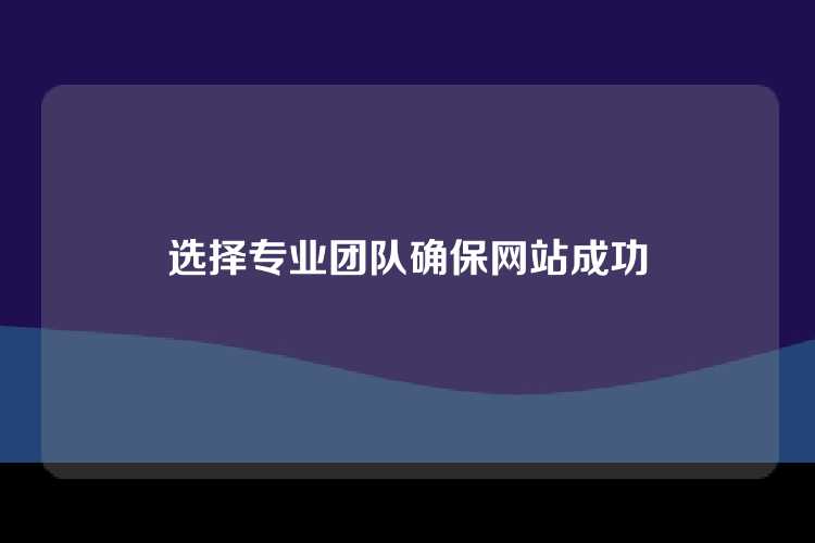选择专业团队确保网站成功