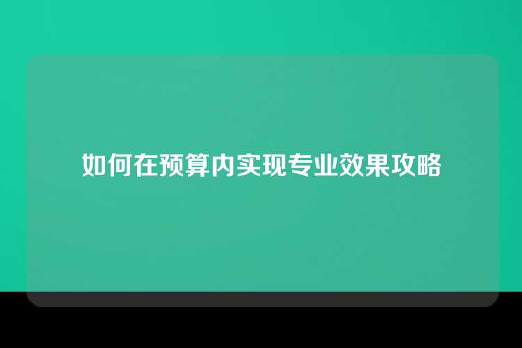 如何在预算内实现专业效果攻略