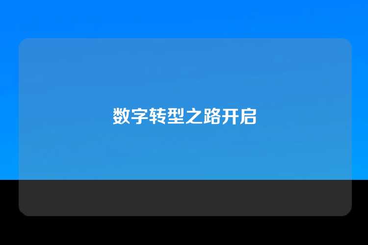 数字转型之路开启