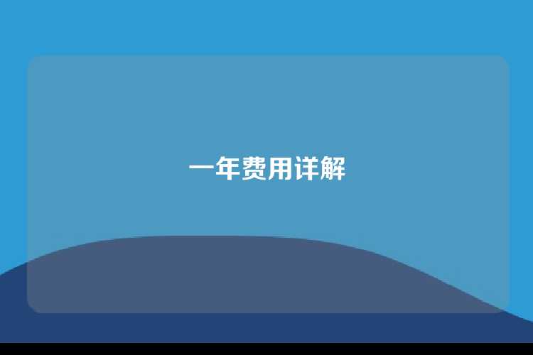 一年费用详解
