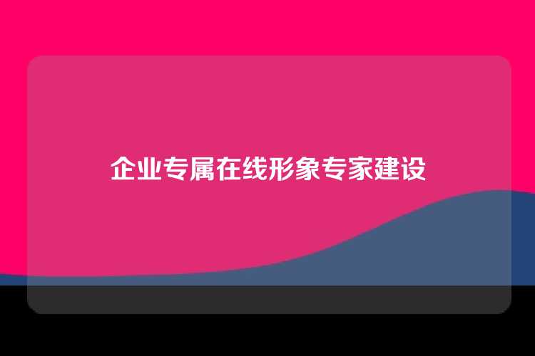 企业专属在线形象专家建设