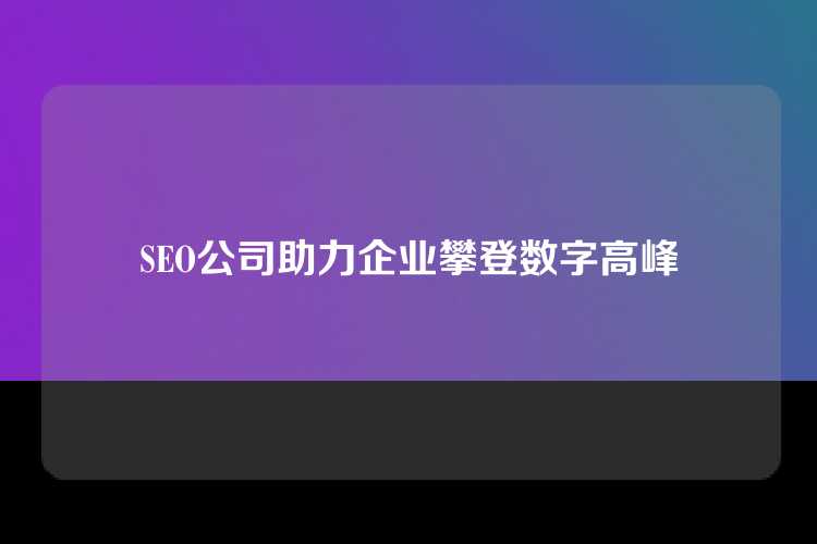 SEO公司助力企业攀登数字高峰