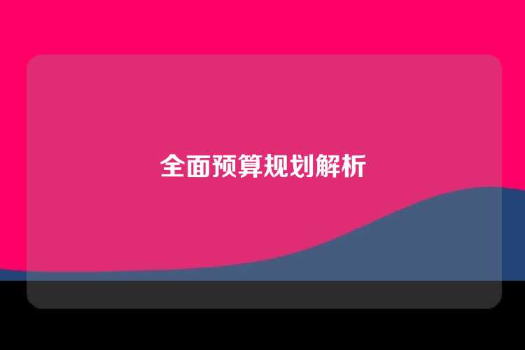全面预算规划解析