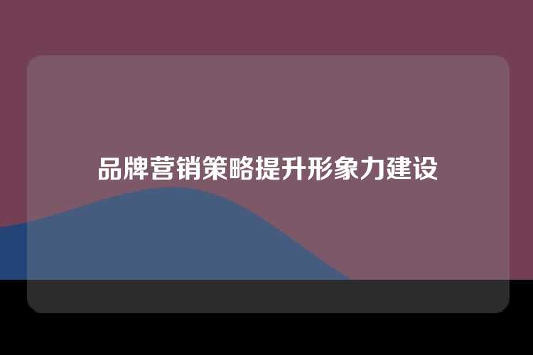 品牌营销策略提升形象力建设