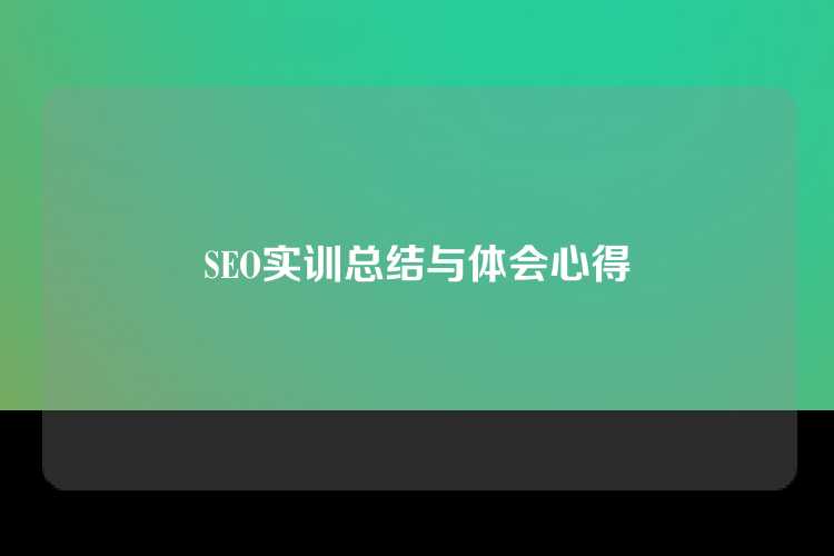 SEO实训总结与体会心得