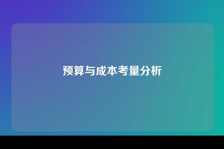 预算与成本考量分析