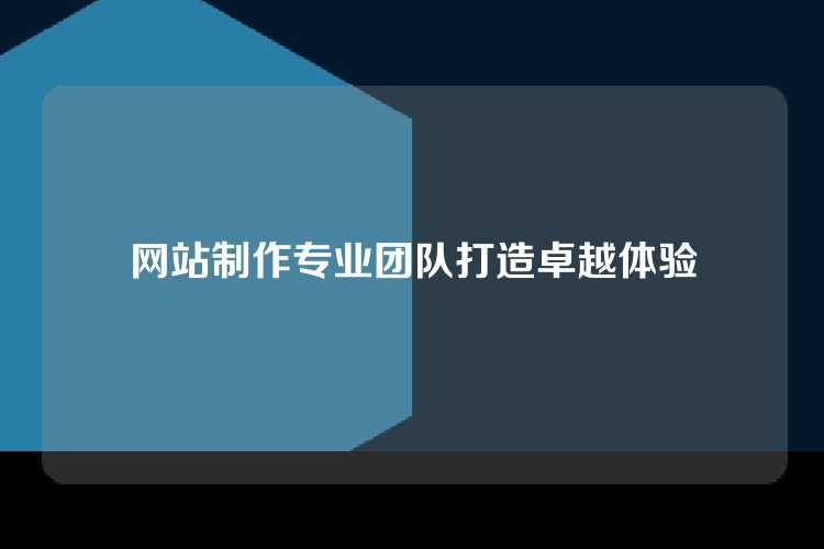 网站制作专业团队打造卓越体验