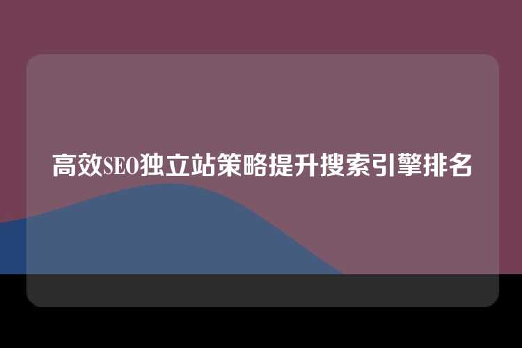 高效SEO独立站策略提升搜索引擎排名