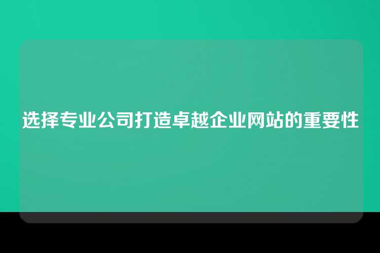 选择专业公司打造卓越企业网站的重要性