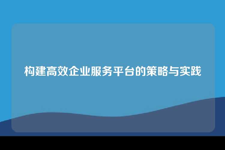 构建高效企业服务平台的策略与实践