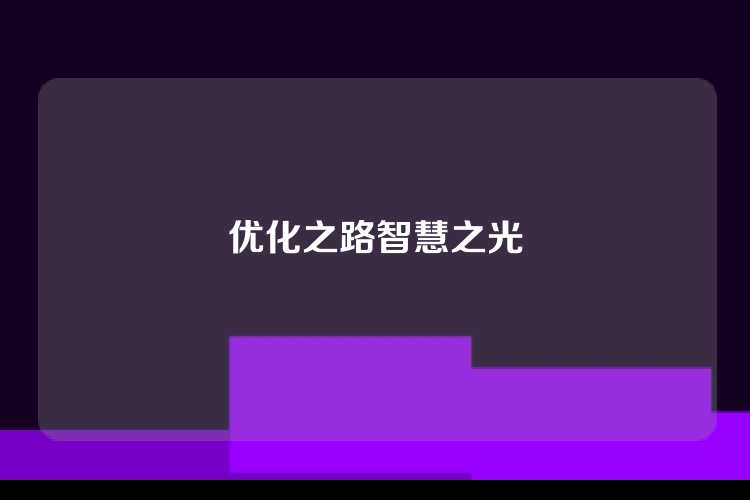 优化之路智慧之光