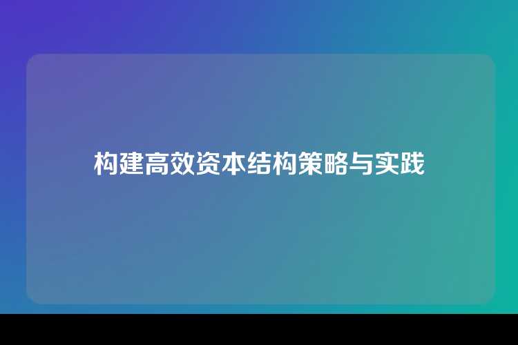 构建高效资本结构策略与实践