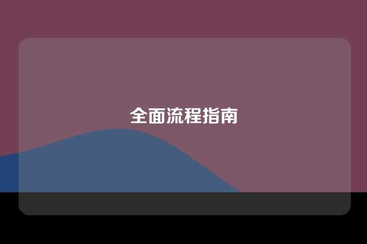 全面流程指南