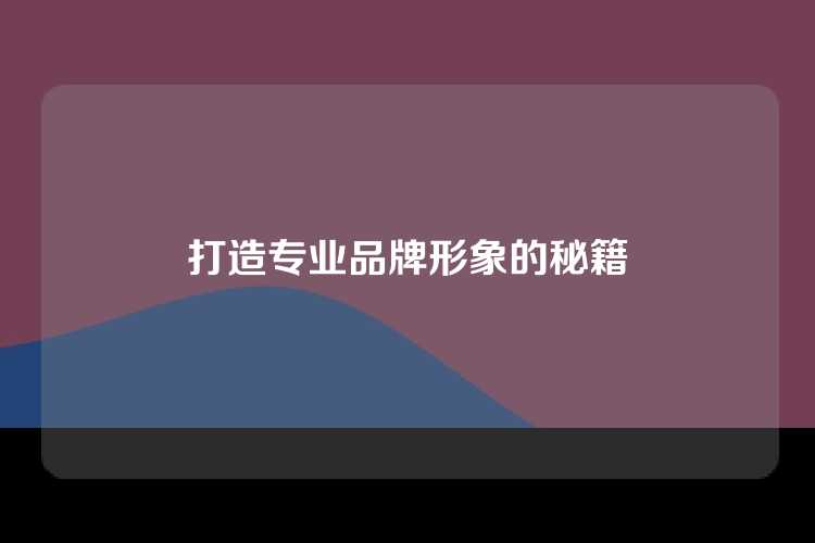 打造专业品牌形象的秘籍