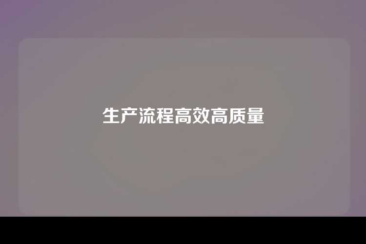 生产流程高效高质量