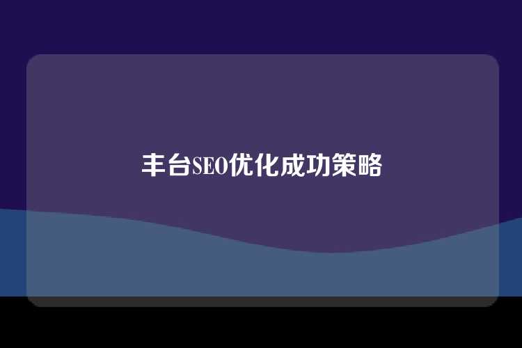 丰台SEO优化成功策略