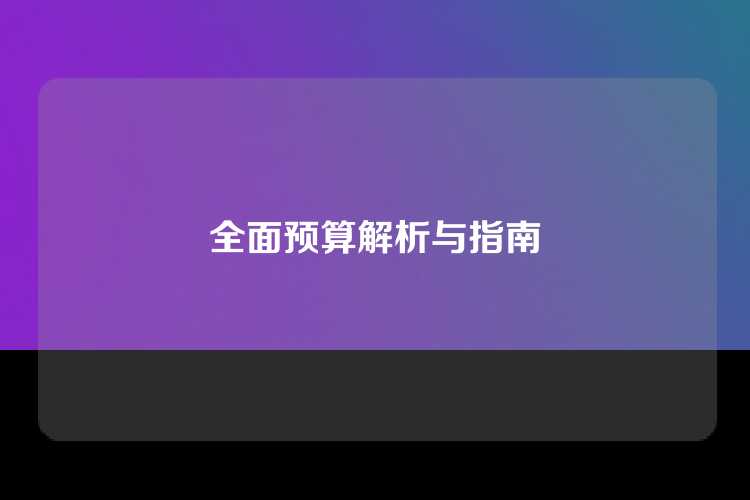 全面预算解析与指南