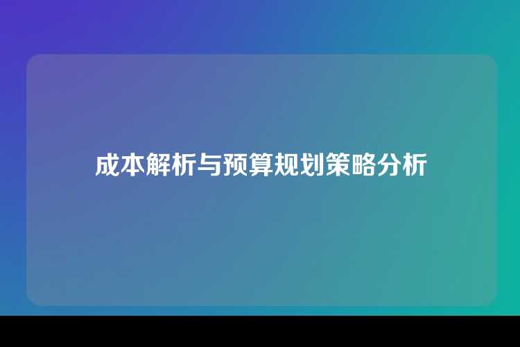 成本解析与预算规划策略分析