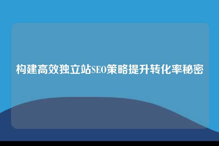 构建高效独立站SEO策略提升转化率秘密