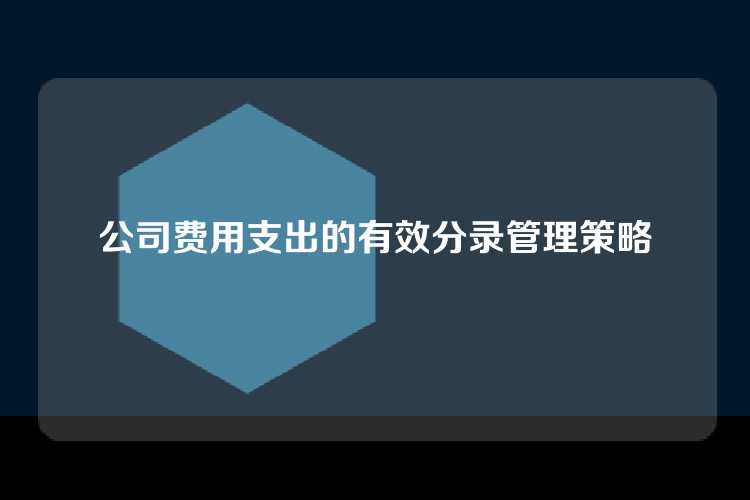 公司费用支出的有效分录管理策略
