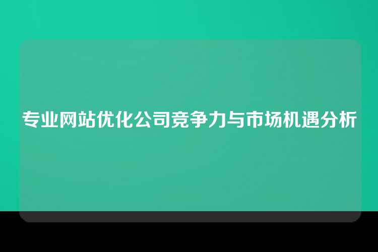 专业网站优化公司竞争力与市场机遇分析