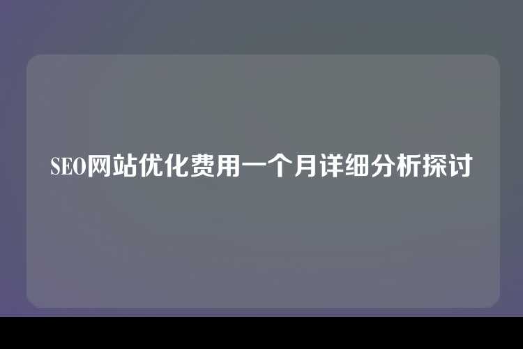 SEO网站优化费用一个月详细分析探讨