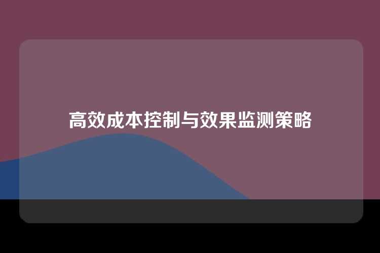 高效成本控制与效果监测策略