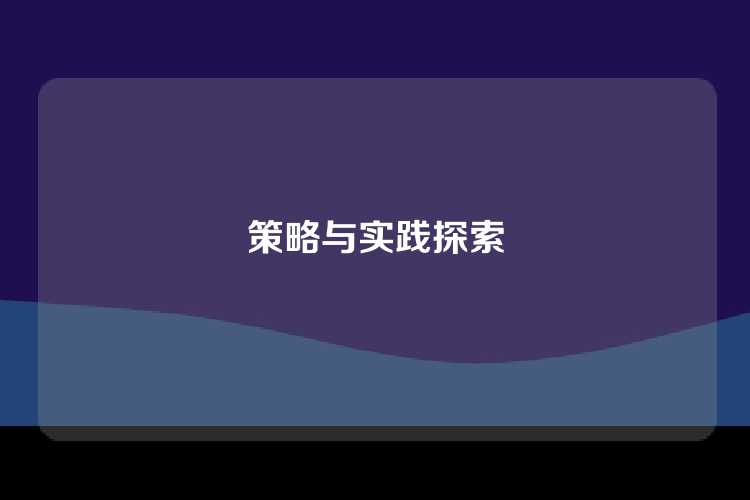 策略与实践探索