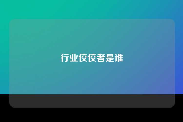 行业佼佼者是谁