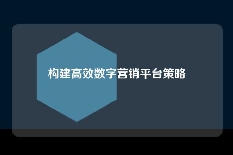 构建高效数字营销平台策略