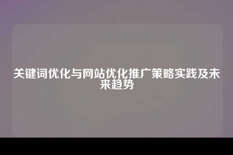 关键词优化与网站优化推广策略实践及未来趋势