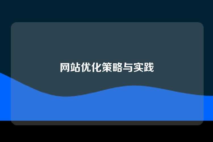 网站优化策略与实践