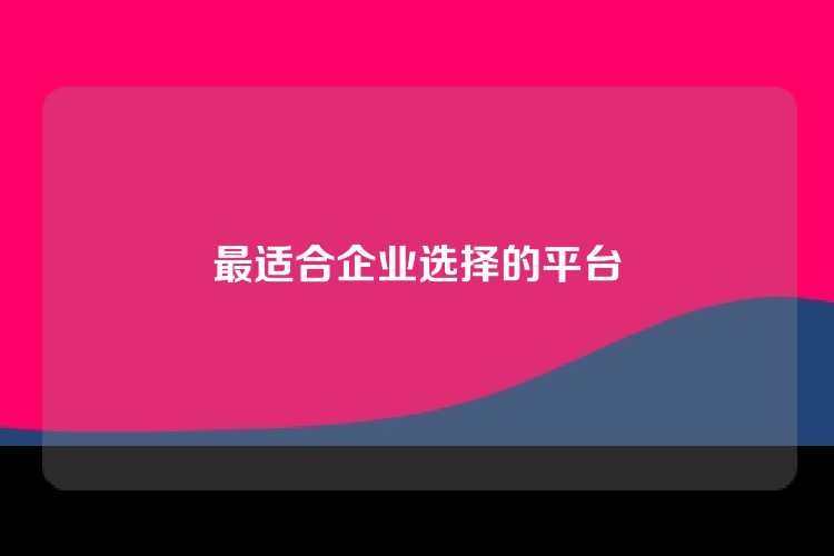 最适合企业选择的平台