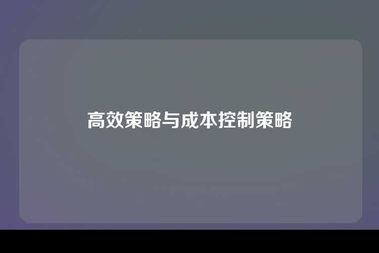 高效策略与成本控制策略