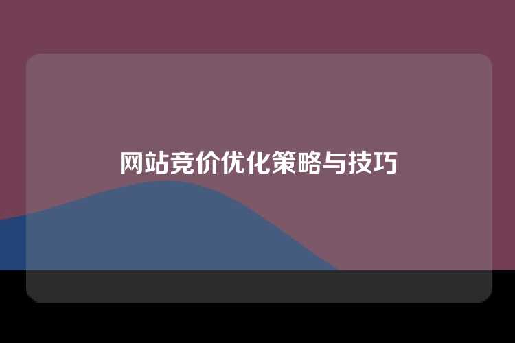 网站竞价优化策略与技巧