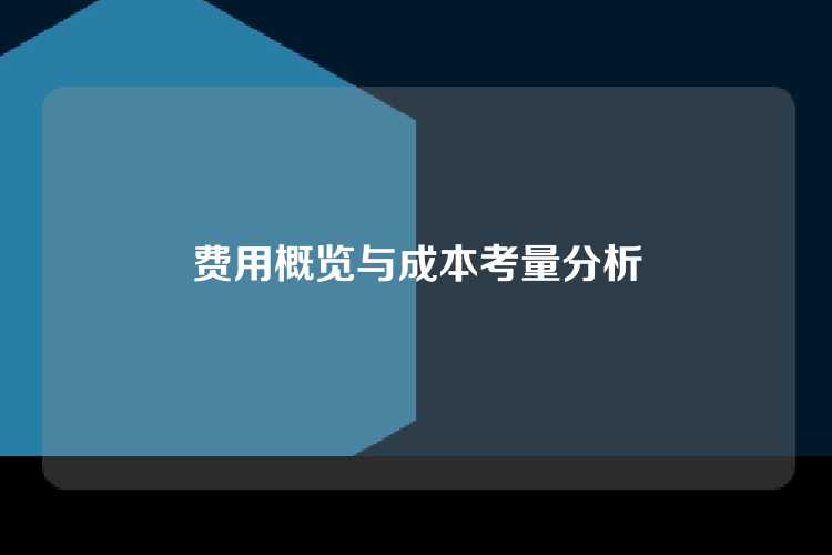 费用概览与成本考量分析