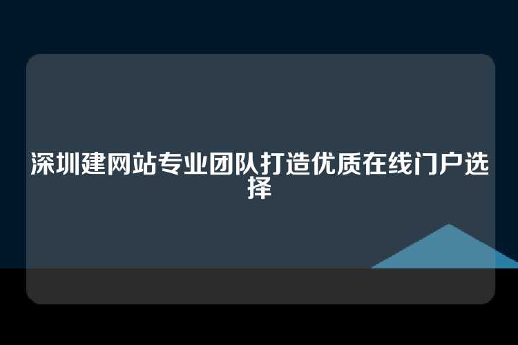 深圳建网站专业团队打造优质在线门户选择