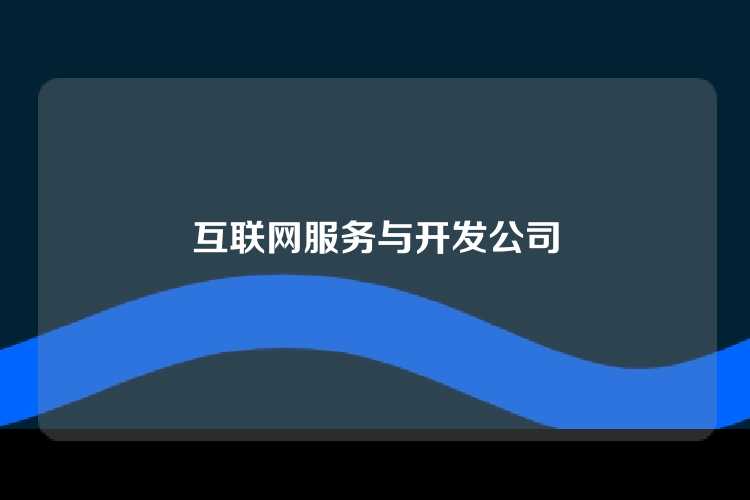 互联网服务与开发公司