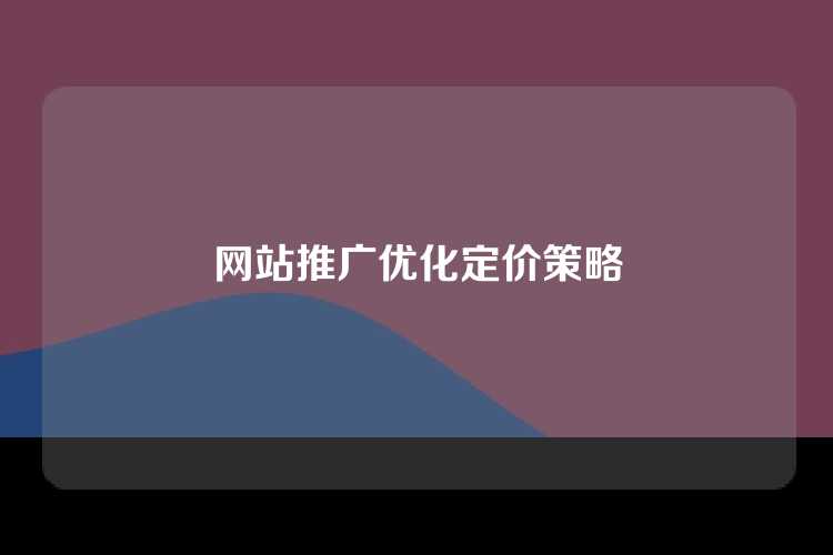网站推广优化定价策略