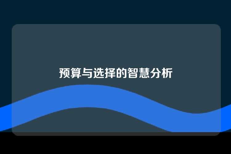 预算与选择的智慧分析